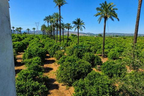 Villa en Cotes, Valencia, Cotes - € 1.200.000 | Ref: PNVL2175 - photo 41